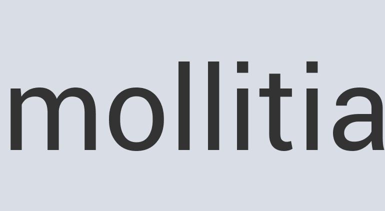 Heavy Duty Silk Hop ‘N Toss